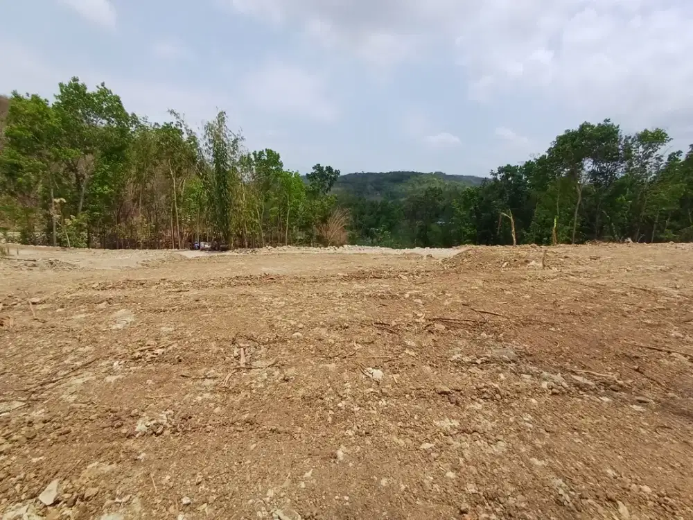 Tanah Suasana Asri, Tenang di Pleret Bantul