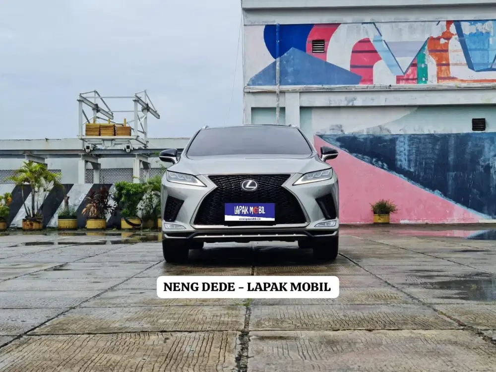 Lexus RX300 F-Sport AT (Facelift) 2020
