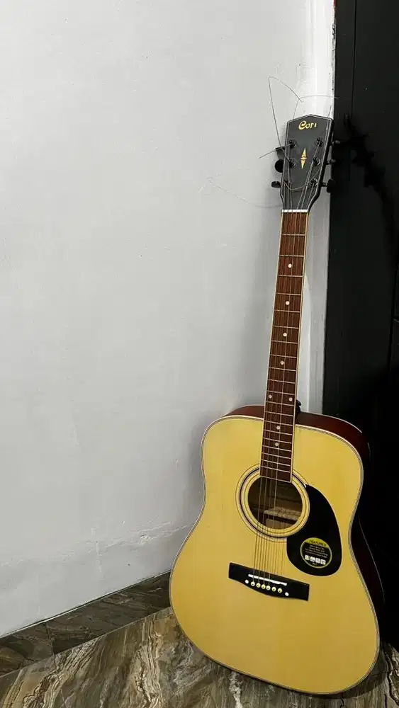 Cort Custom F310 Tanam Besi