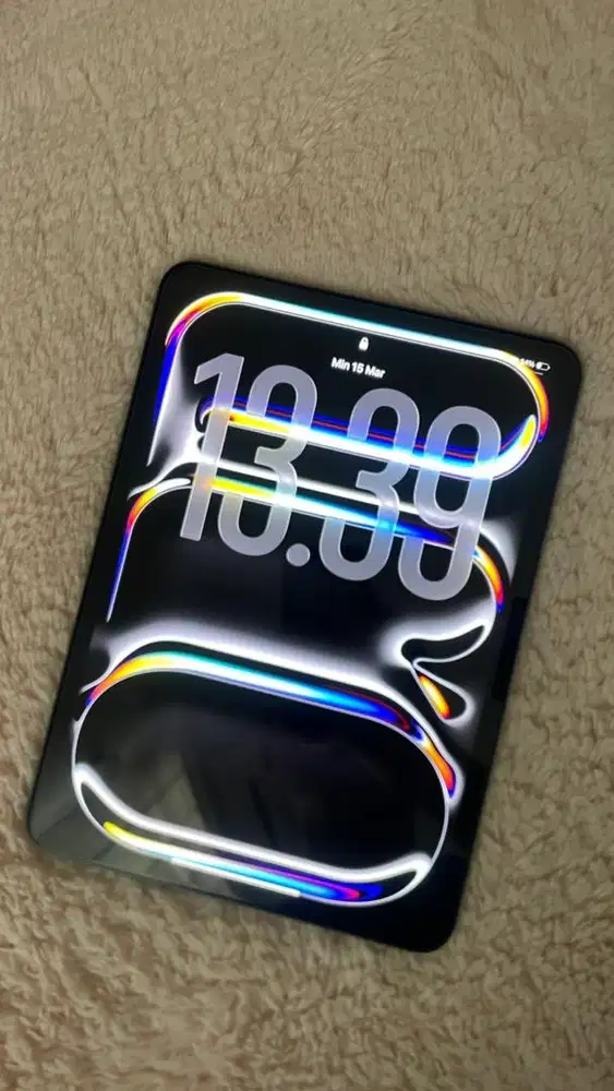 Ipad Pro 11 M4 2024 (512GB)