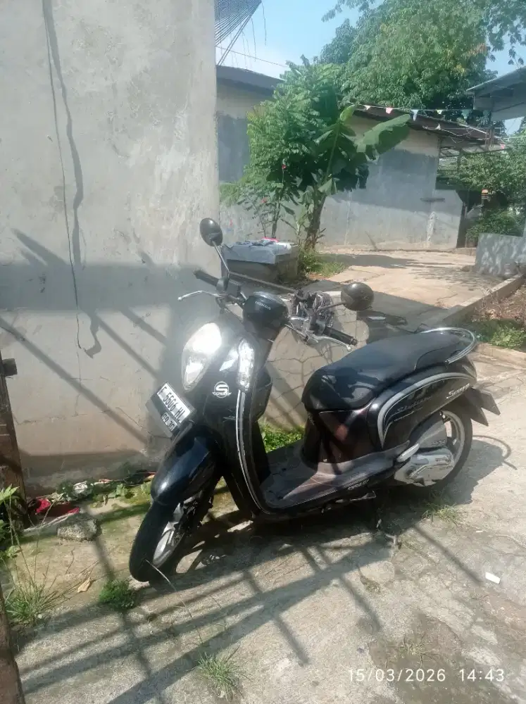 Honda scoopy 2015