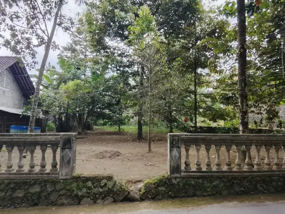 Dijual Tanah Kebun Durian