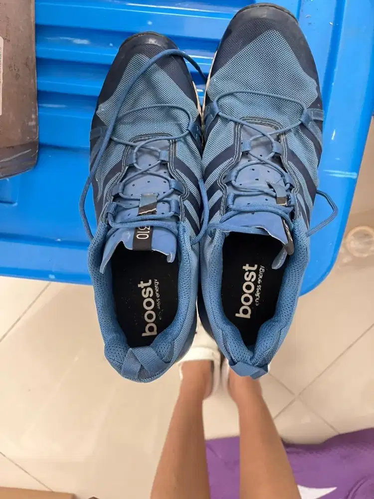 Adidas terrex boost original