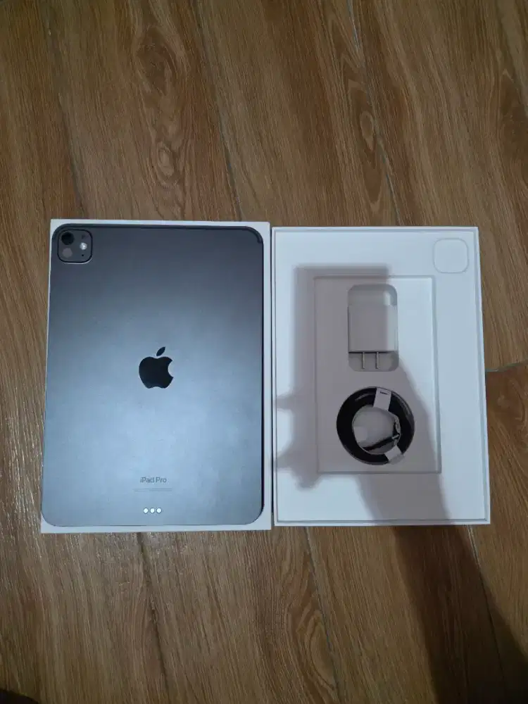 Ipad Pro 11 M4 256GB