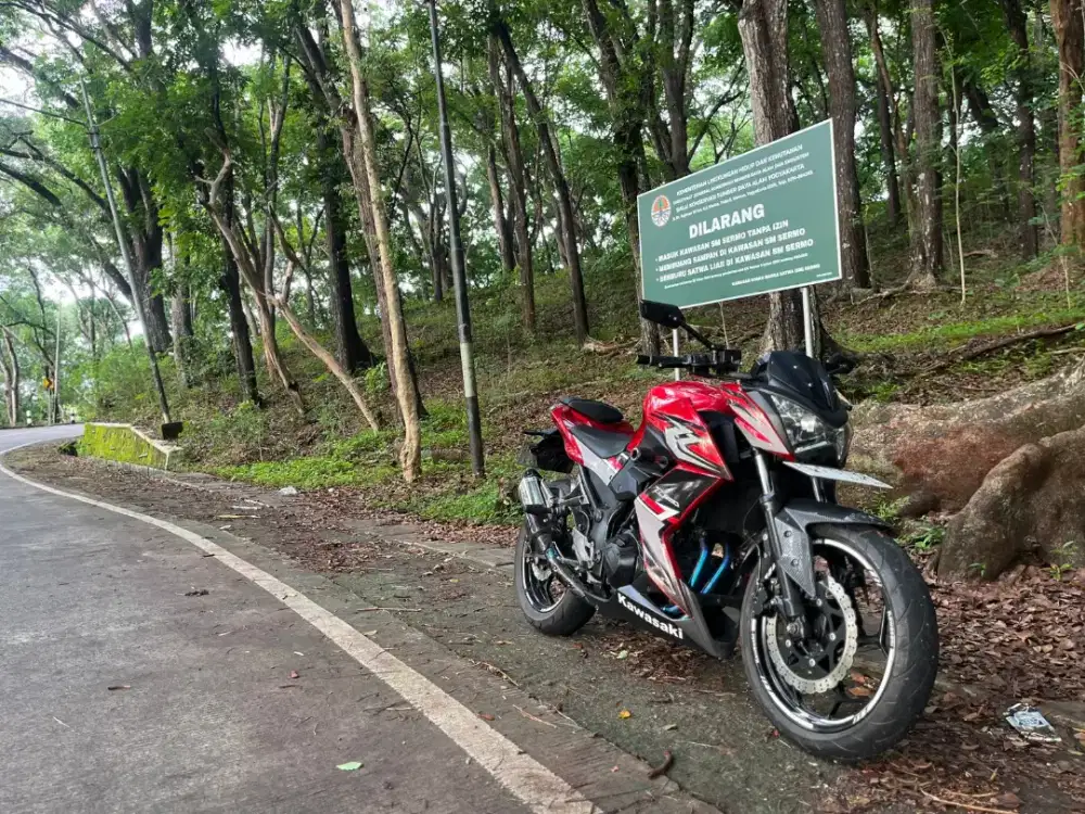 Dijual, Kawasaki Ninja Z250 2013 Low km