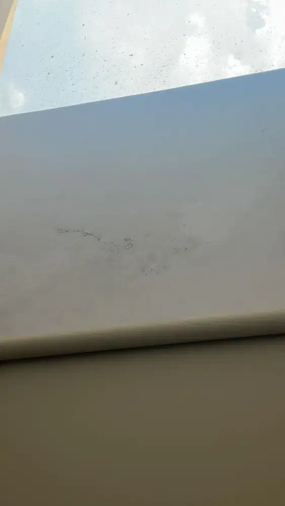 Kaset Nintendo Switch Octopath Traveler 0