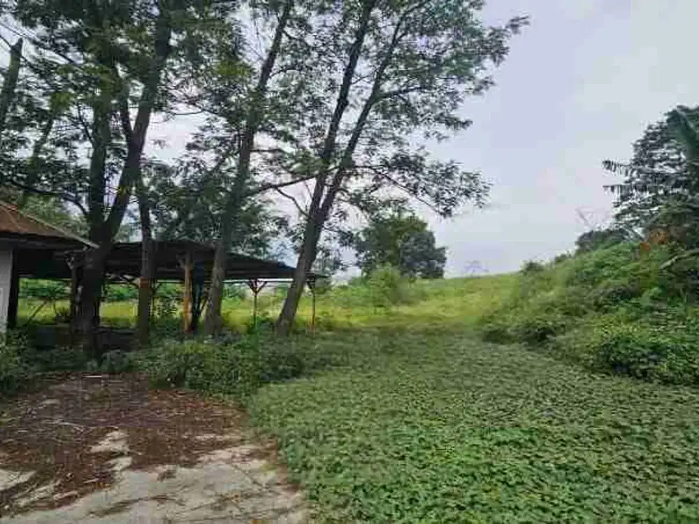 Sewa Tanah 2 ha di jl alternatif cibubur cileungsi