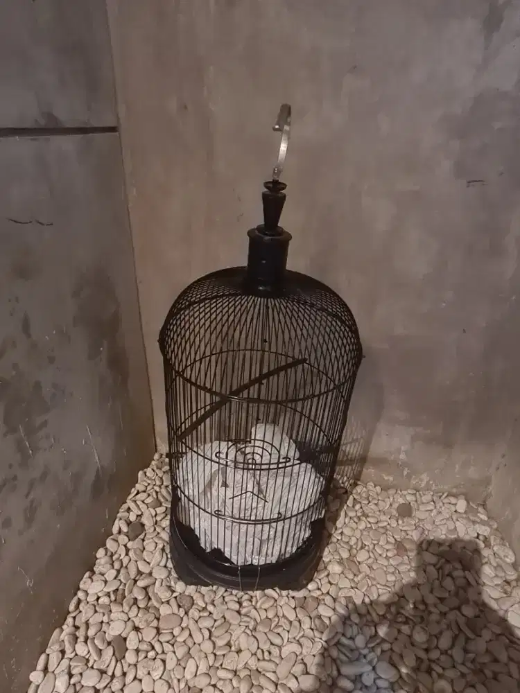Sangkar kapsul besi diameter 35 cm kondisi like new bekas love bird