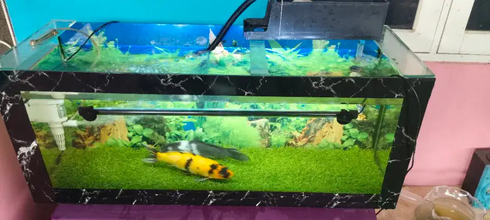 Jual cepat 1 set aquarium uk 1m no bocor no minus