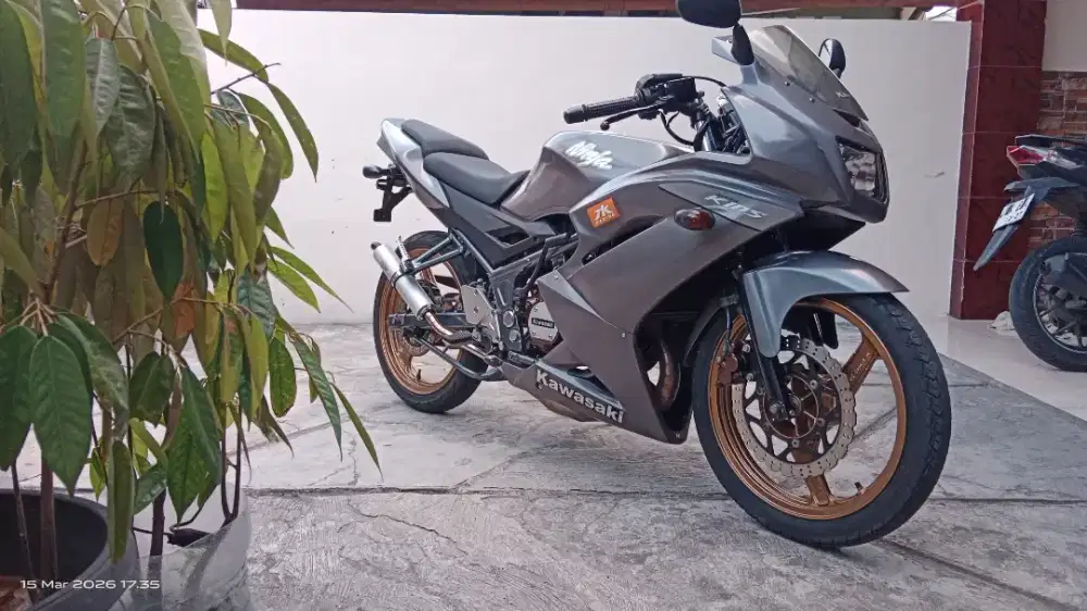 kawasaki Ninja RR 150 grey