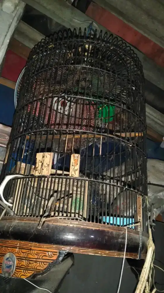Sangkar burung segala jenis