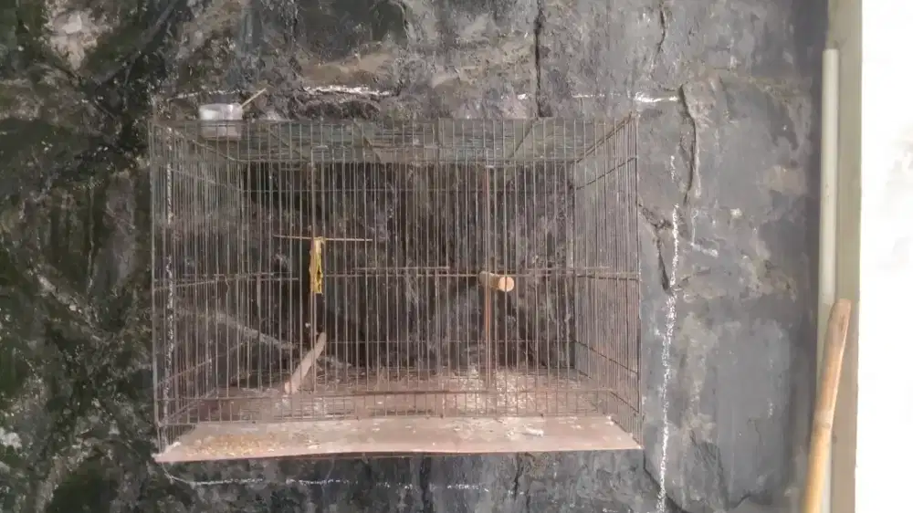 Kandang besi bekas ternak layak pakai