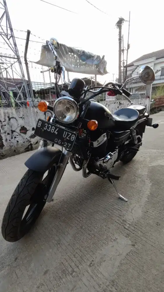 Beneli PE 250 karbu tahun 2022