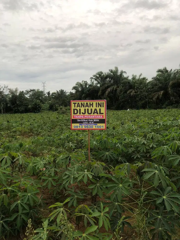 DIJUAL CEPAT 2 TANAH SHM SEKALIGUS (DEKAT TOL SINAKSAK)