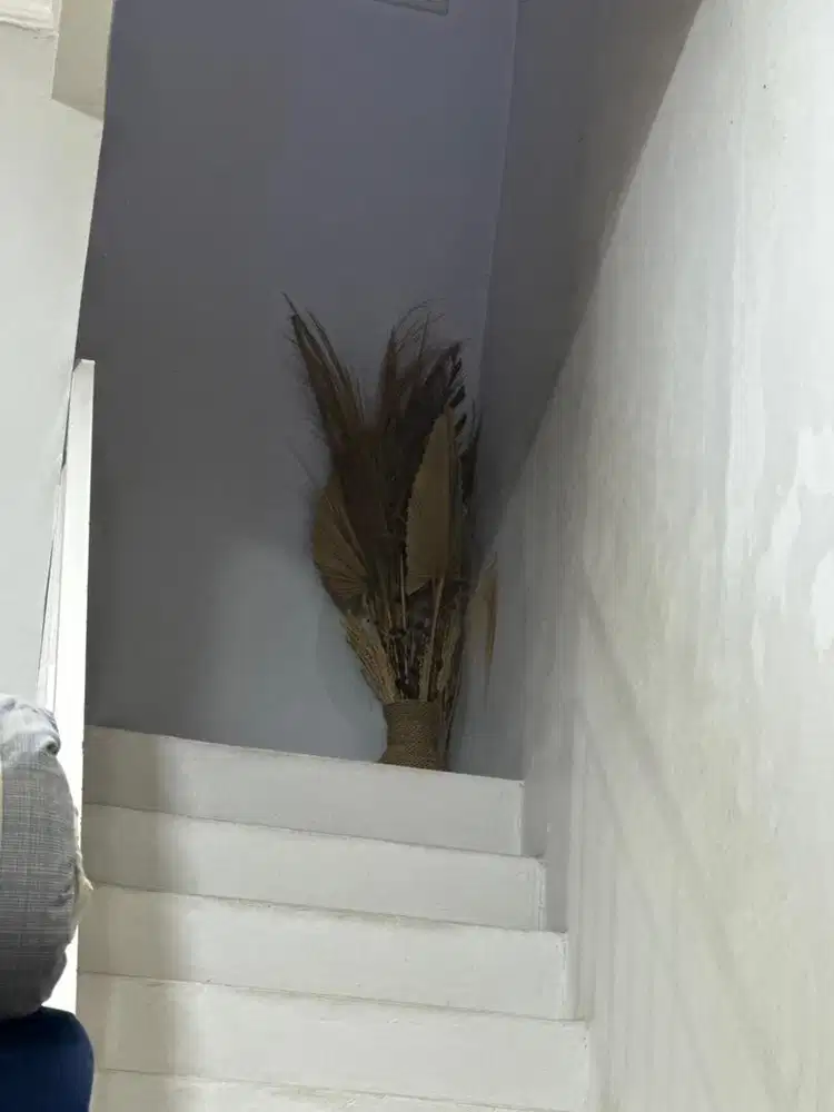 Asisten Rumah Tangga