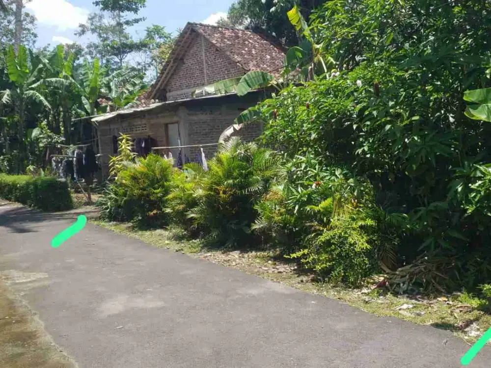 tanah minggir Sleman