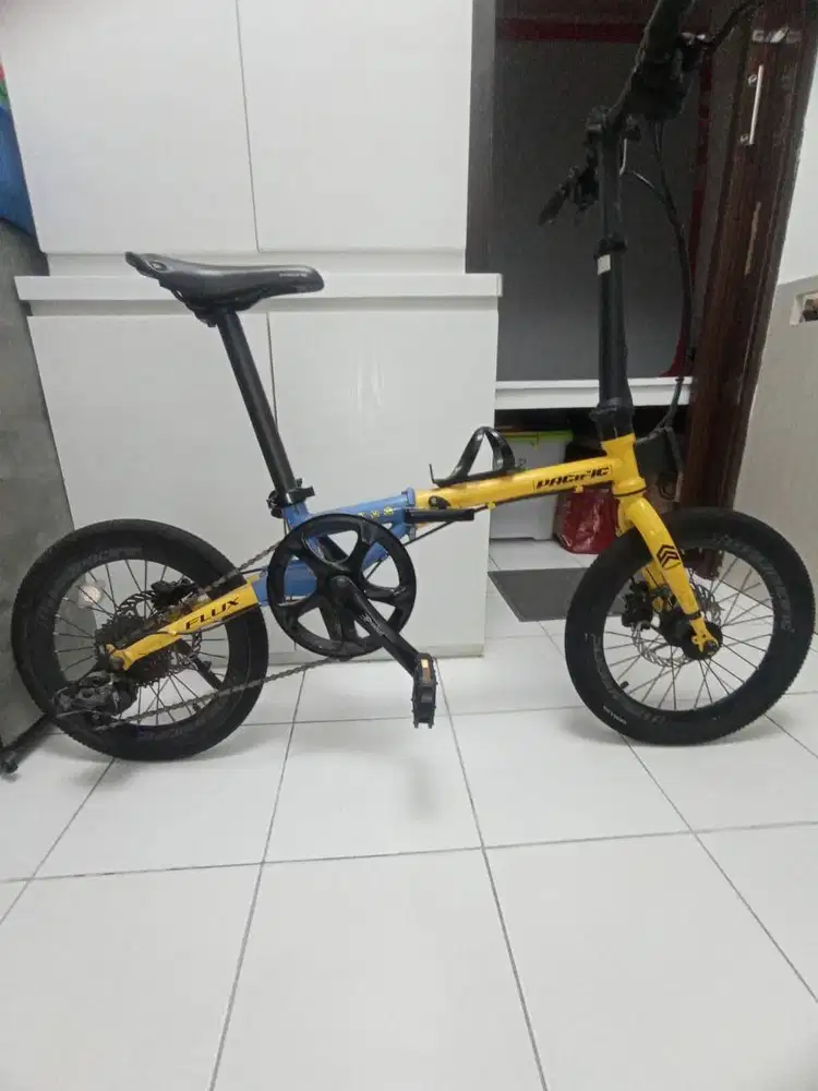 The Pasific Flux Minions 16 inch