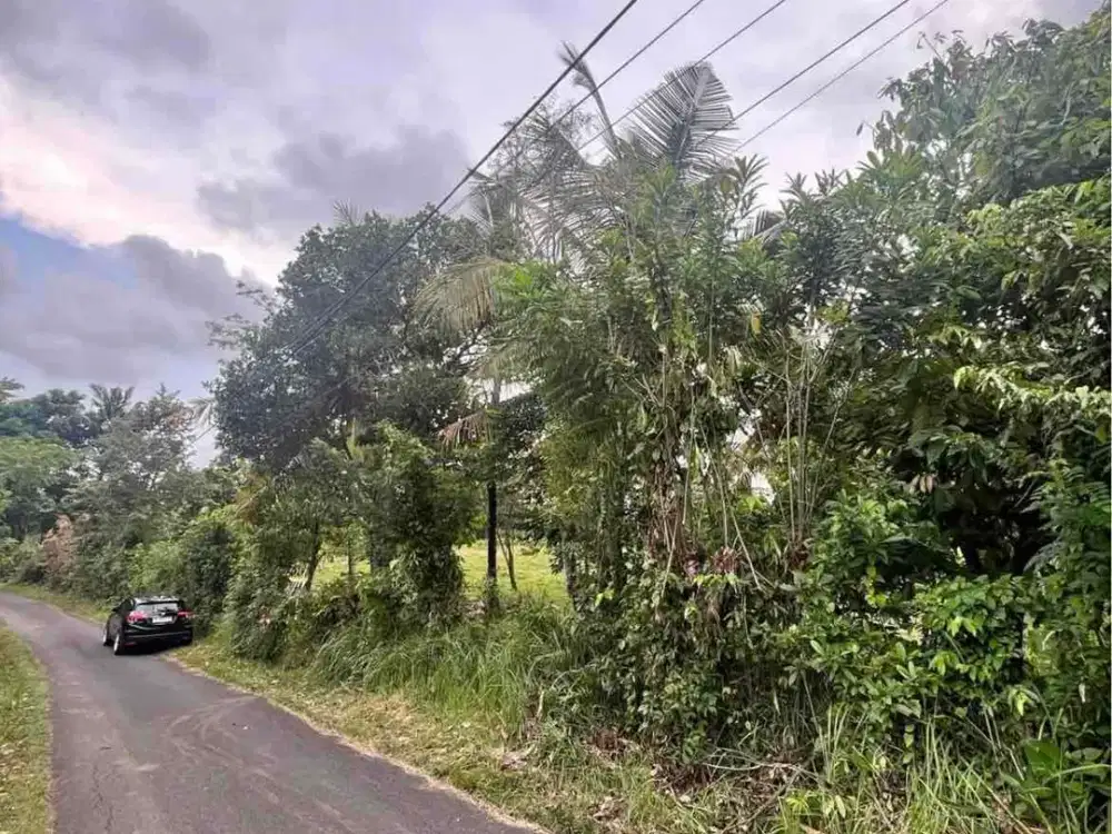 jual tanah dekat pantai soka selemadeg