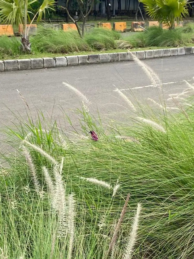 (URGENT) Admin Accounting