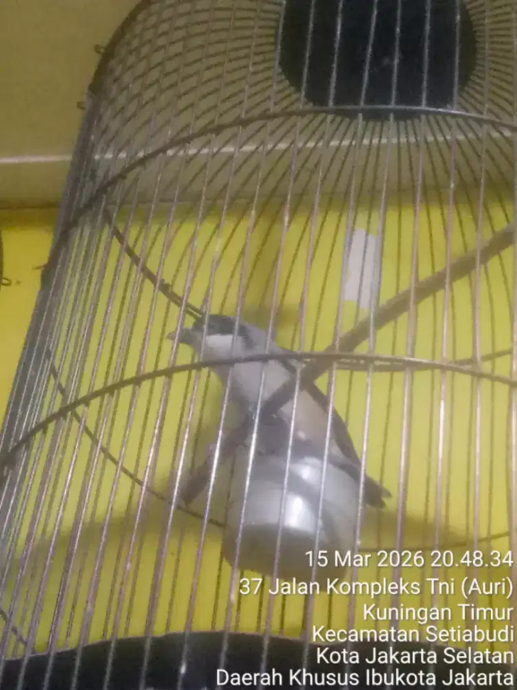 JUAL SANTAI SAMBIL NGOPI