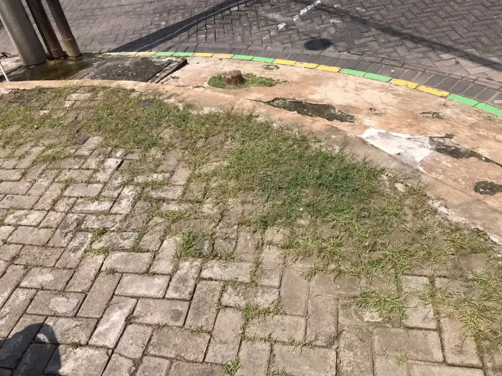 Dibutuhkan tenaga serabutan bersih bersih