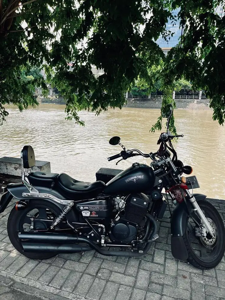 BENELLI PATAGONIAN EAGLE 250