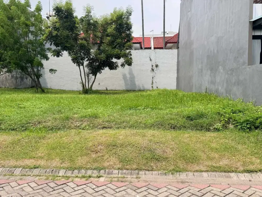 Graha Family Dekat Roca , Hokky dan Loop