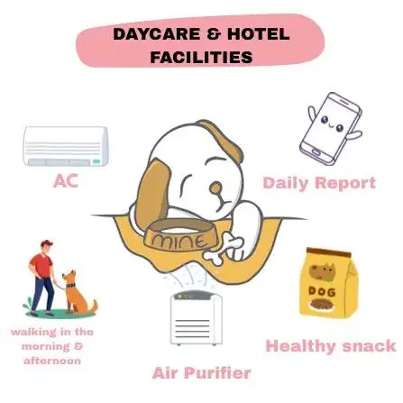 Pet hotel & pet sitter