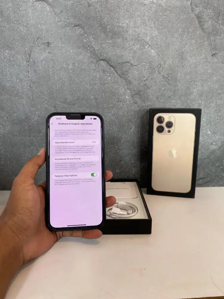 Ip 13 promax 256gb inter