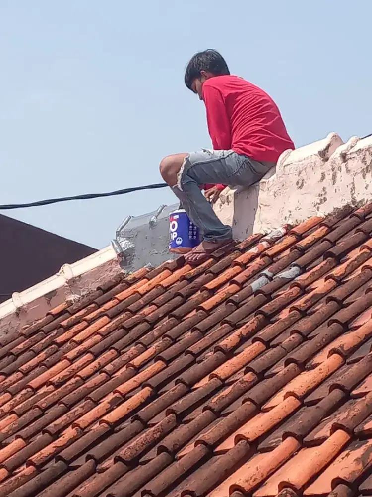 Tukang perbaikan atap bocor,dag,talang,kanopi,cat rumah dll