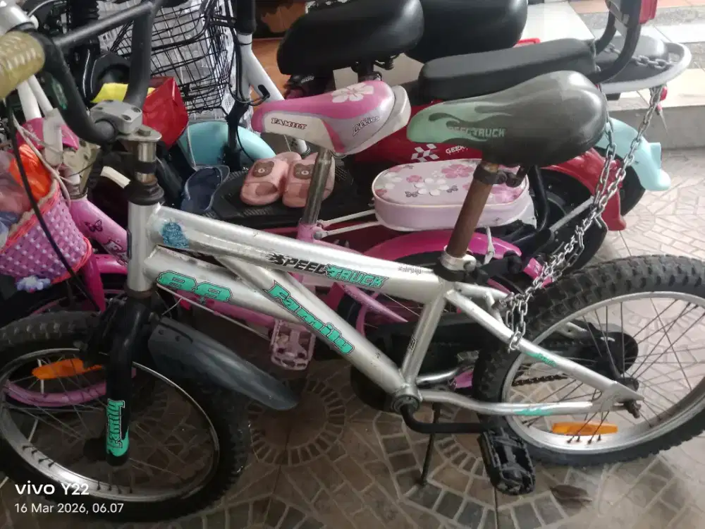 Dijual Sepeda anak usia 10th