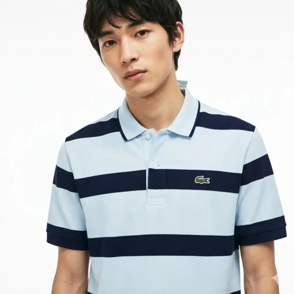 Kaos polo shirt LACOSTE Striped Sallur colour blue black Size L