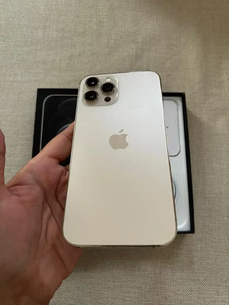 12 PROMAX 512GB WHITELIST