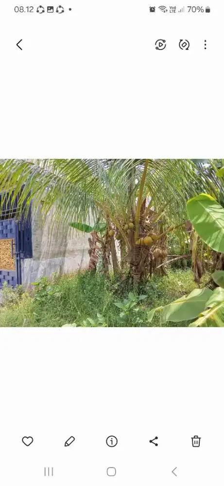 Tanah di jual segera