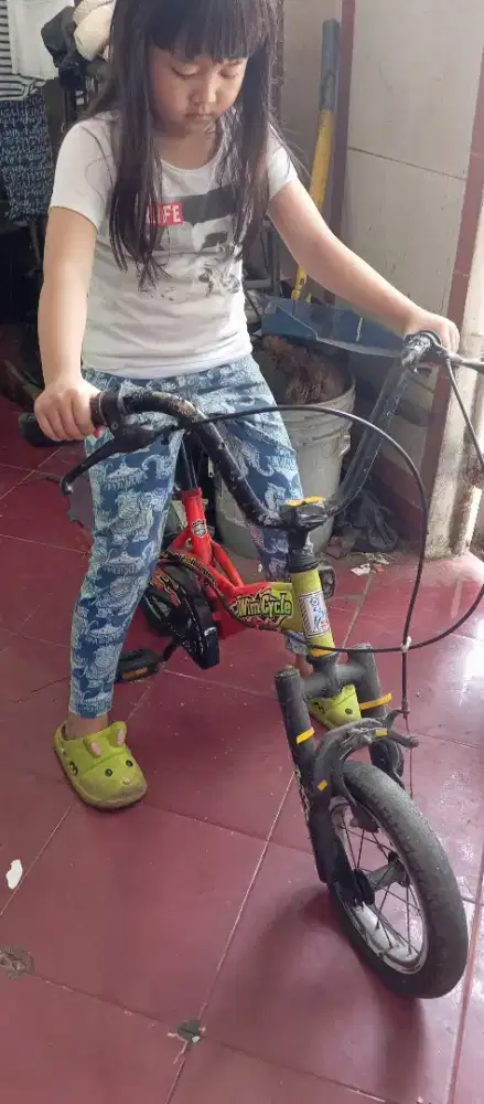 Sepeda anak usia 5-10th