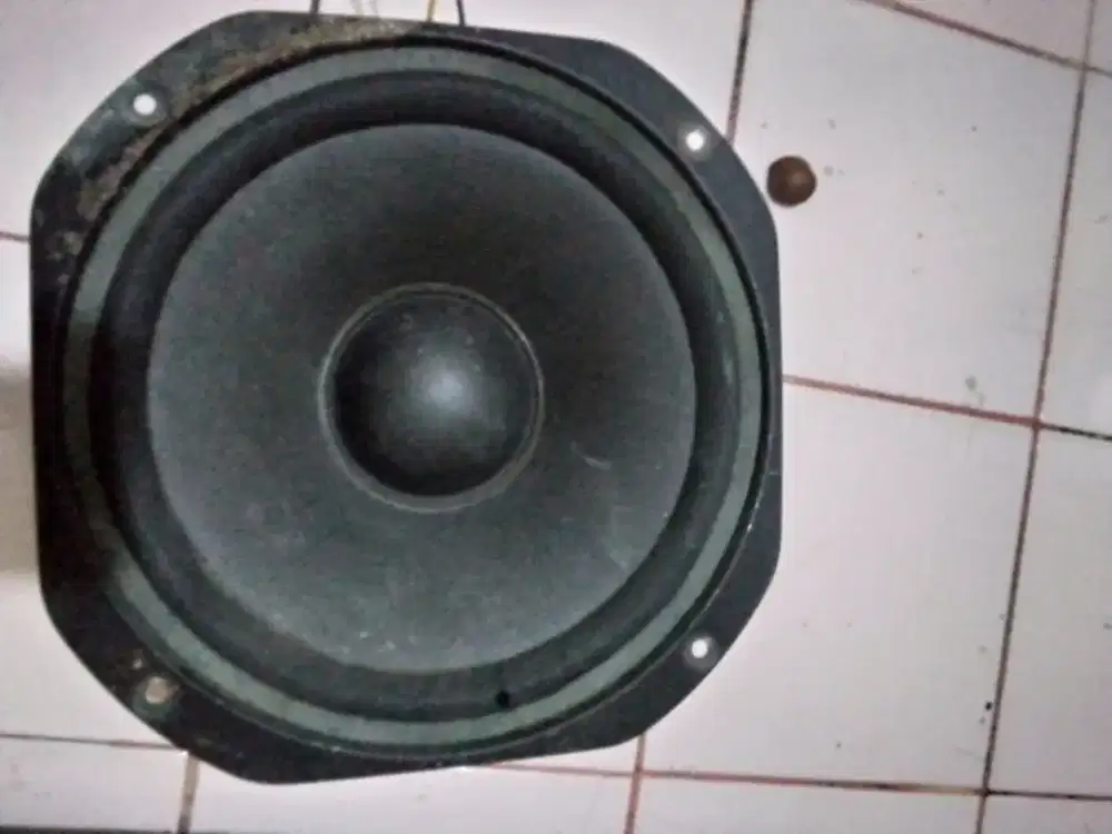 Speaker pasif 10 inch