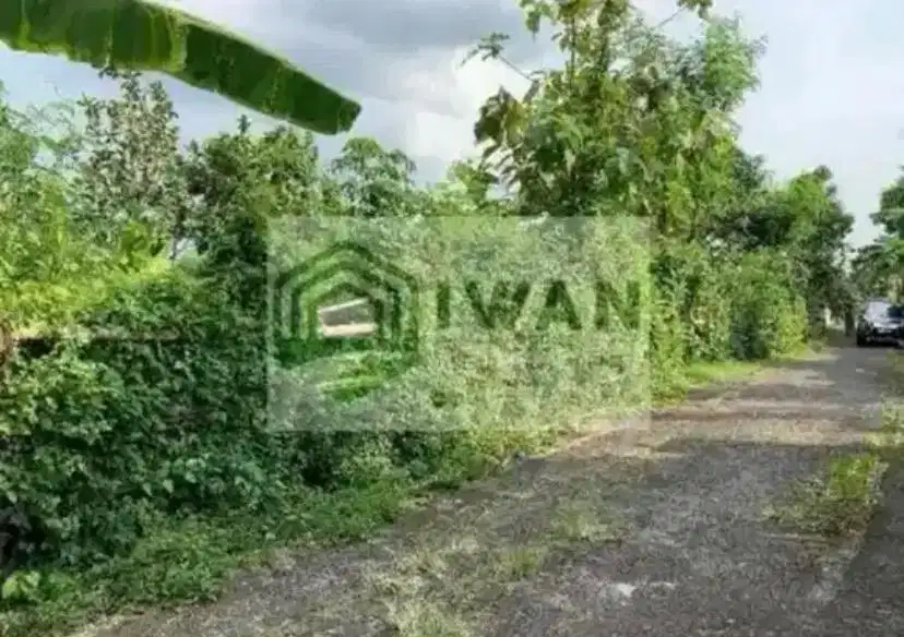 Tanah Kering/Pekarangan Belakang Dengan View Alam Dekat Jalan DPU