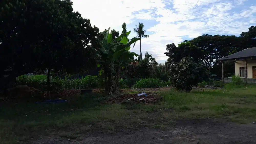 Jual Tanah Strategis Cocok Usaha dan Invest