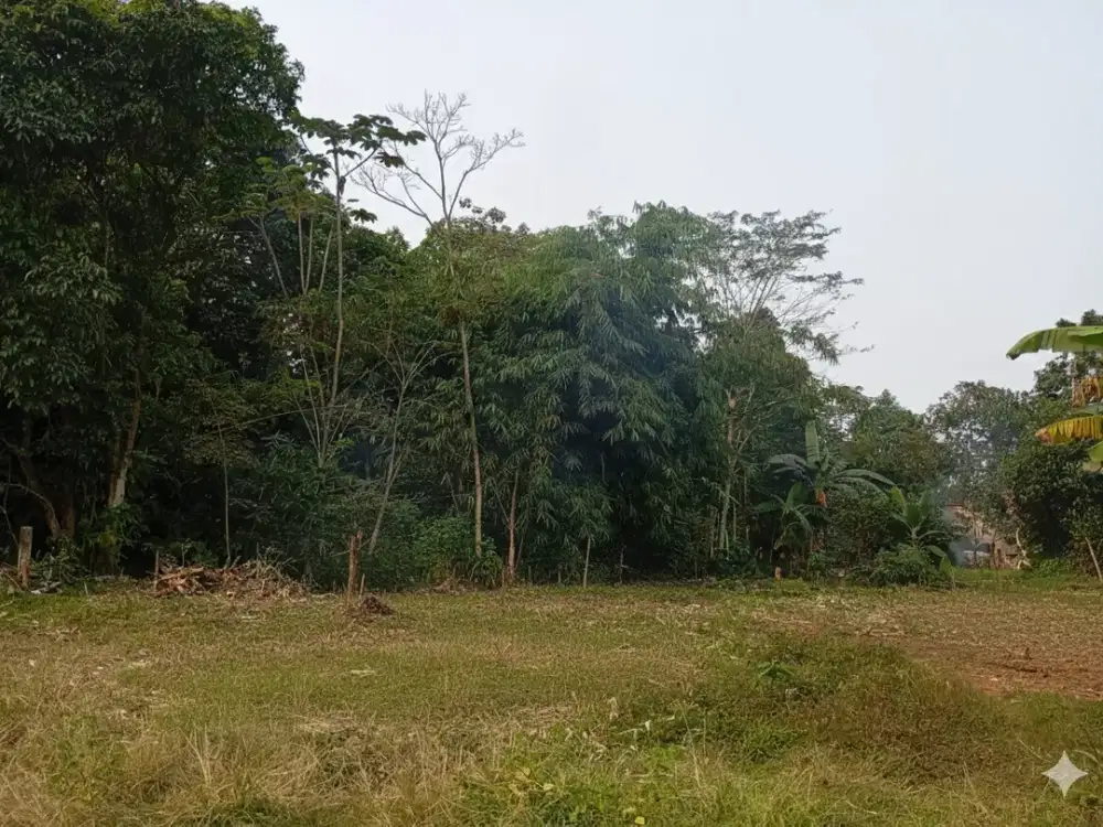 Tanah Murah Tangerang Dekat BSD,Cocok Untuk Investasi