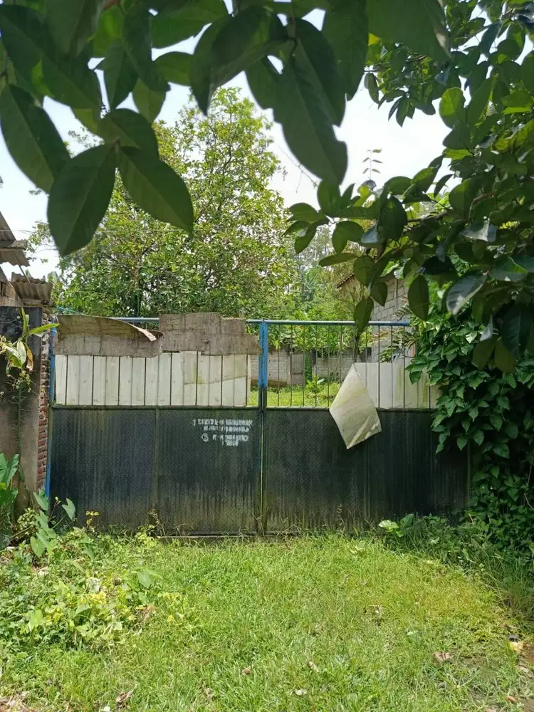 Jual/Lelang Sebidang Tahan dengan luas 3030 M2