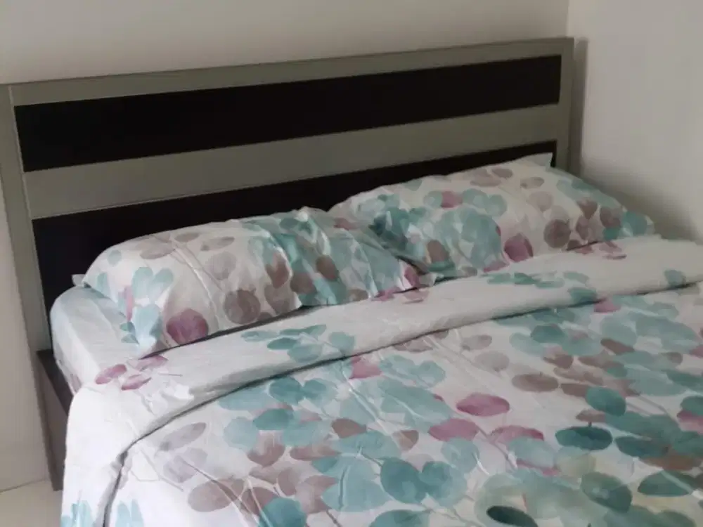 Disewa Best Price Apartemen Mediterania Garden Residence 2 View Pool di Tanjung Duren Jakarta Barat