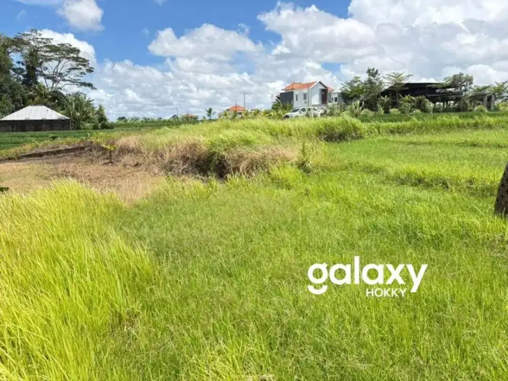 DIJUAL TANAH STRATEGIS DEKAT BYPASS TABANAN