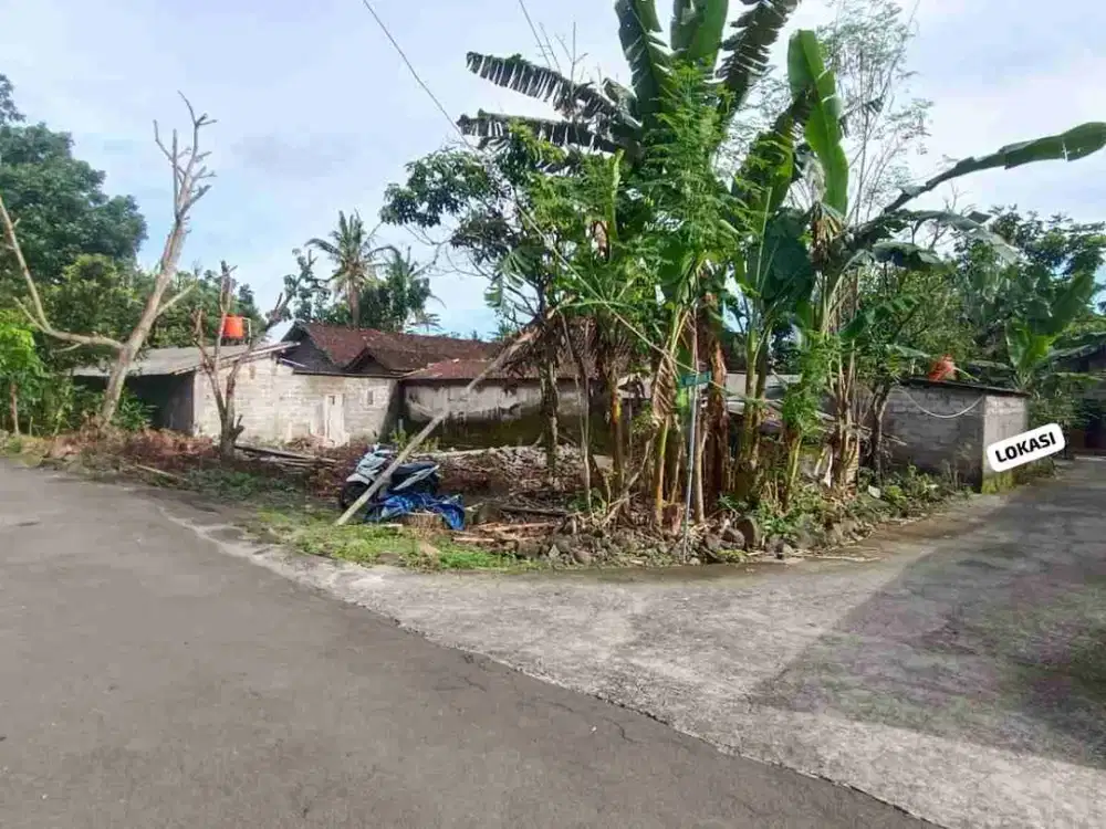 Pekarangan Widodomartani Sleman