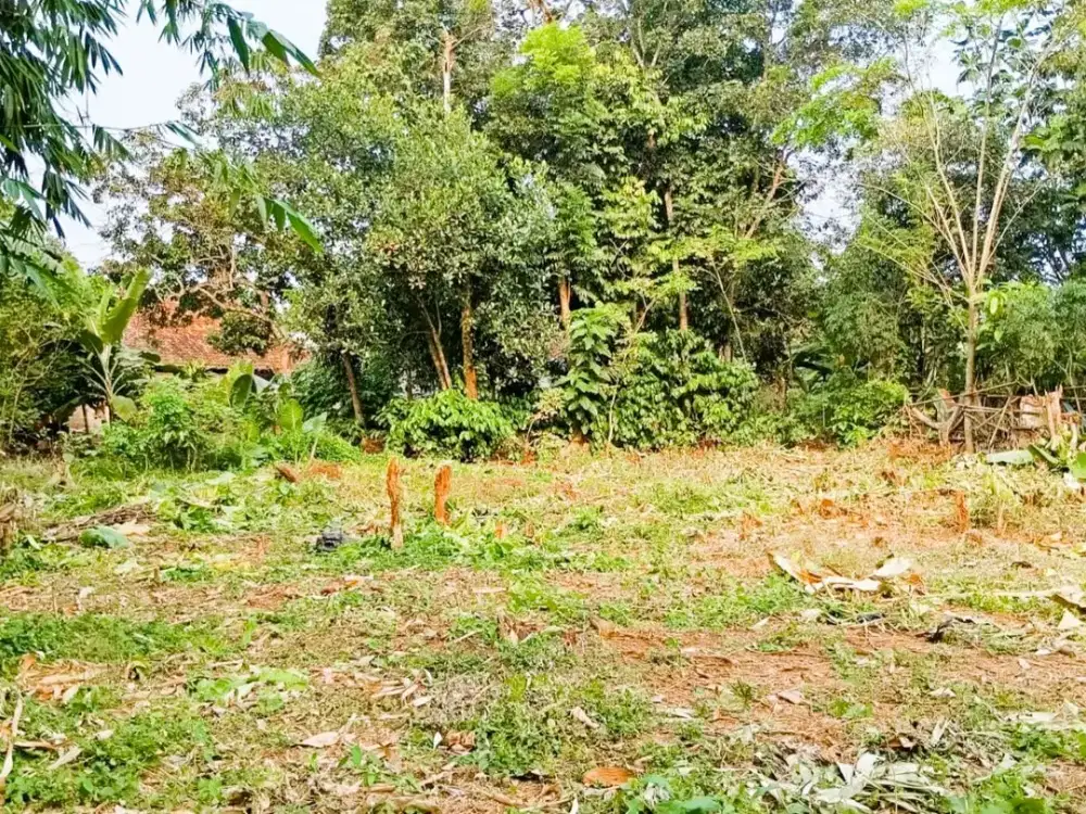 Kavling Cocok Bangun Hnian & Inves,Area Cisauk Dekat Stasiun & Tol