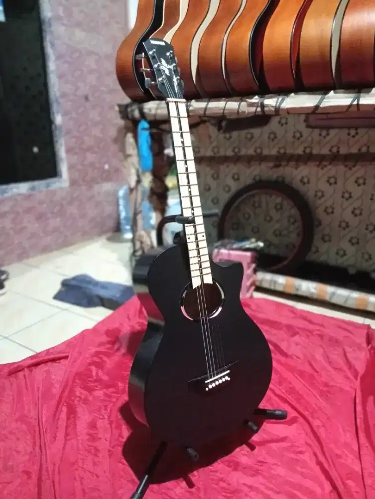 Gitar akustik apx