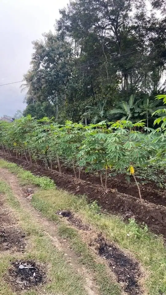 Dijual Cepat! Tanah Kavling Strategis Cocok untuk bangun rumah