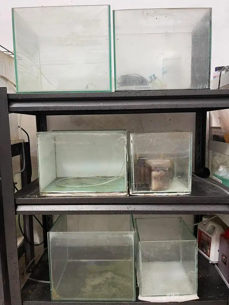 Aquarium 6 Pc Obral Jual Murah Banget