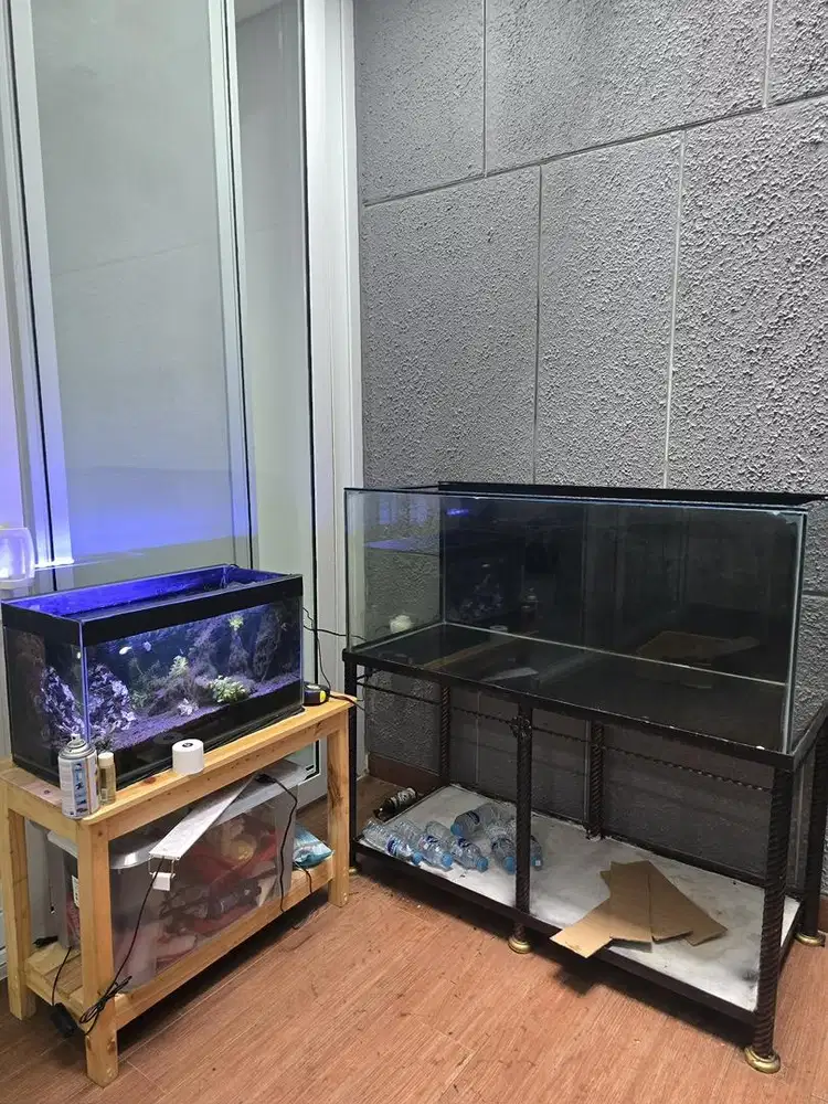 ART Pulang Pergi (mulai bulan April)