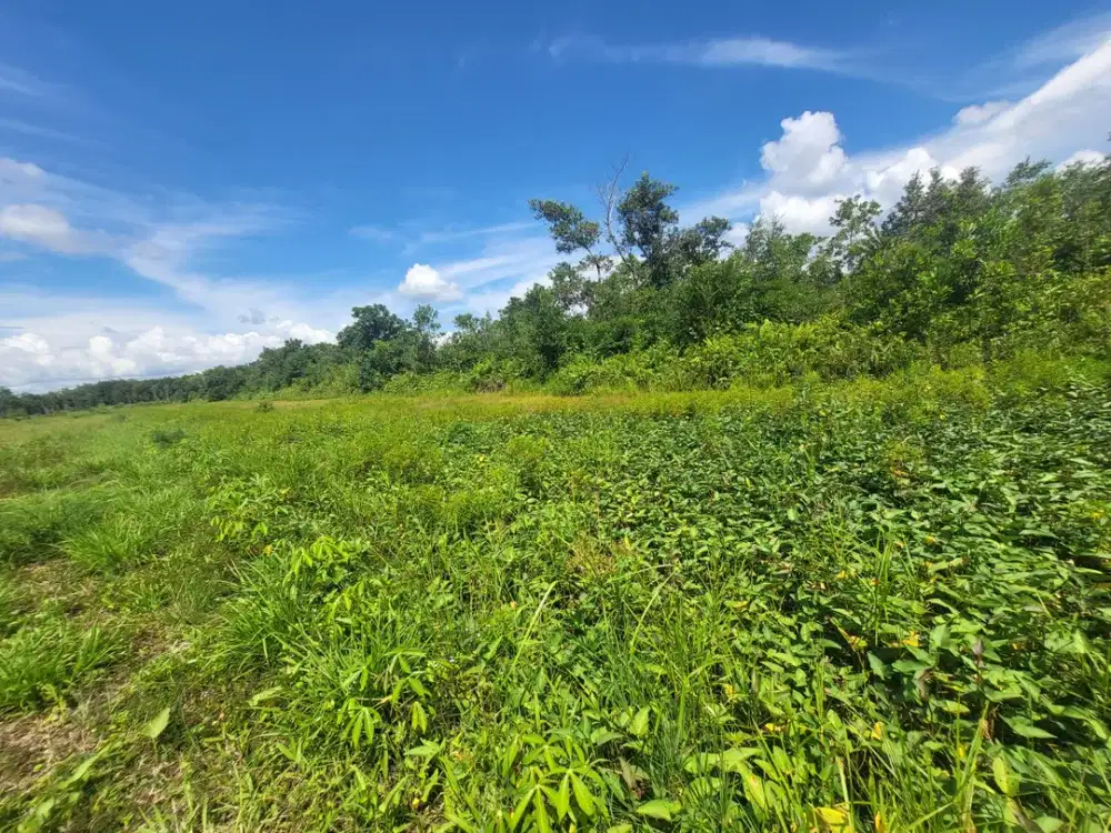 ASET BTN BANJARMASIN