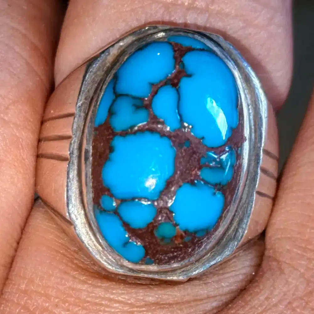 Pirus ngerikil biru fanci